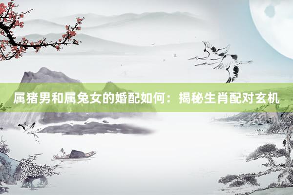 属猪男和属兔女的婚配如何：揭秘生肖配对玄机