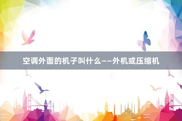 空调外面的机子叫什么——外机或压缩机